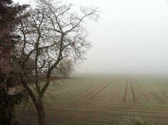 nebbia-web